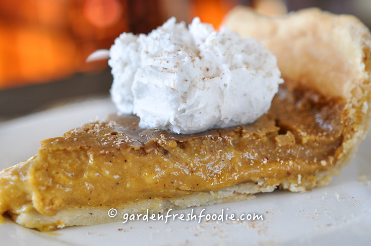 Close Up Of Vegan Pumpkin Pie