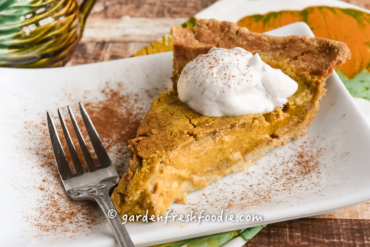 Slice of Vegan Maple Pumpkin Pie With Coconut Whipped Cream