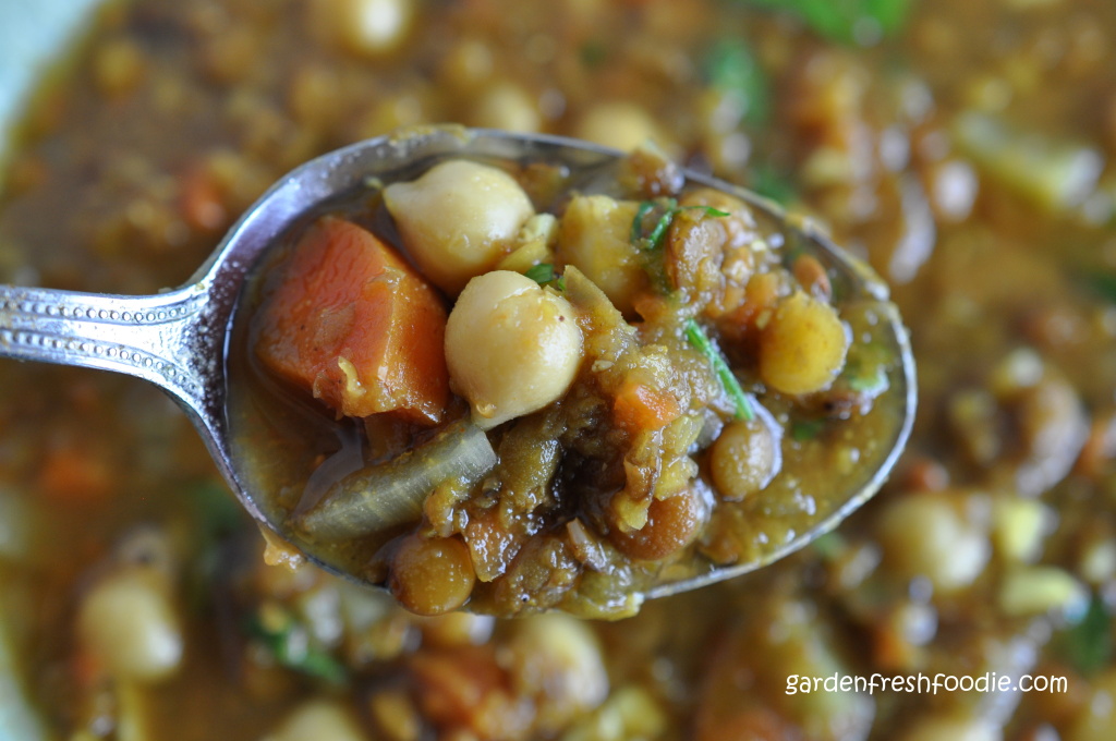 Vegan Moroccan Lentil and Chick Pea Soup on a Spoon