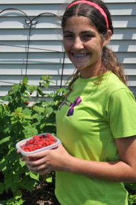 Garden Picking Raspberries