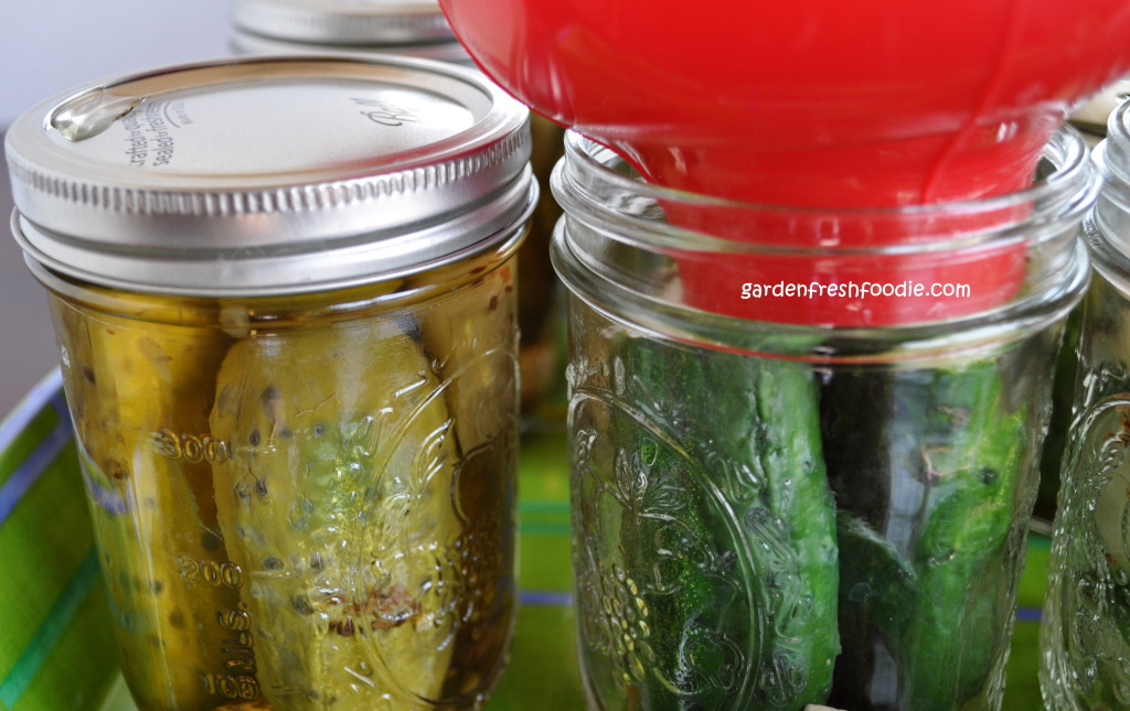 Before and After Canning Process For Pickles