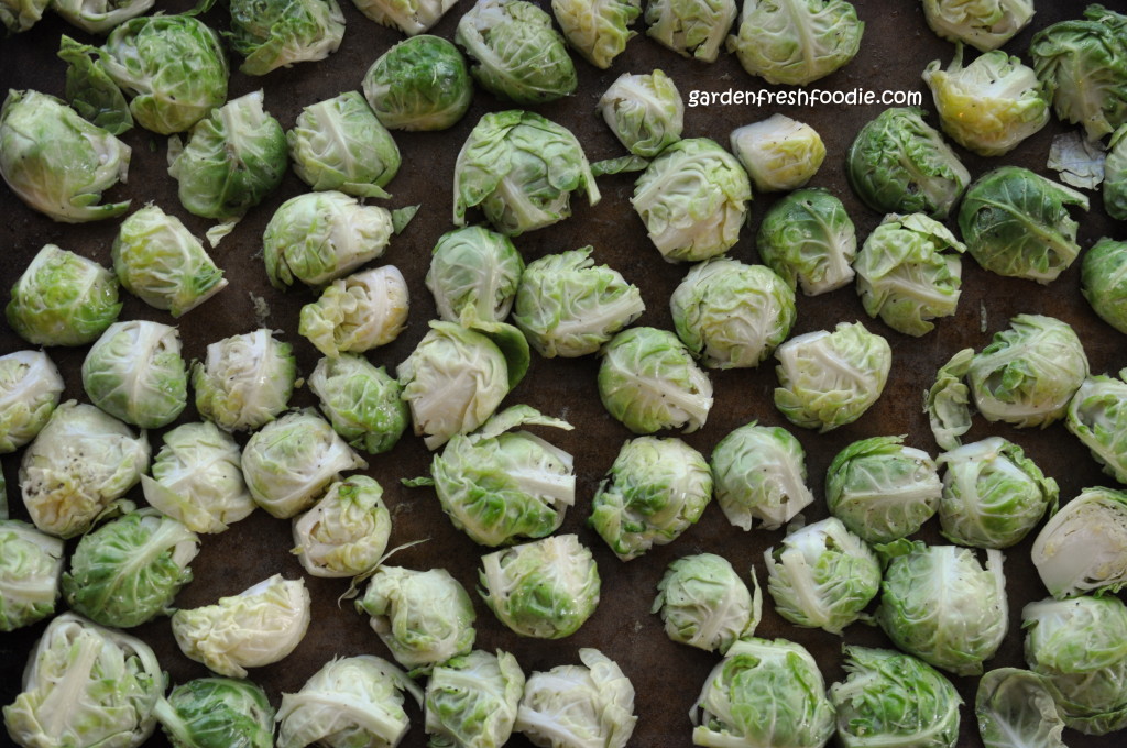 Brussels Sprouts Getting Ready To Be Roasted