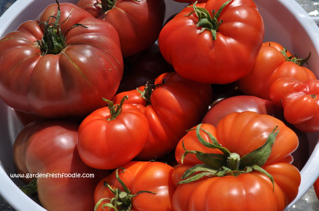 Garden Fresh Tomatoes