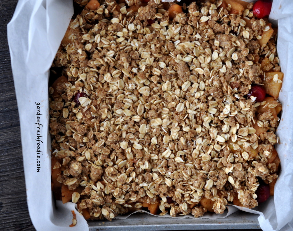 Apple Cranberry Bars and Topping