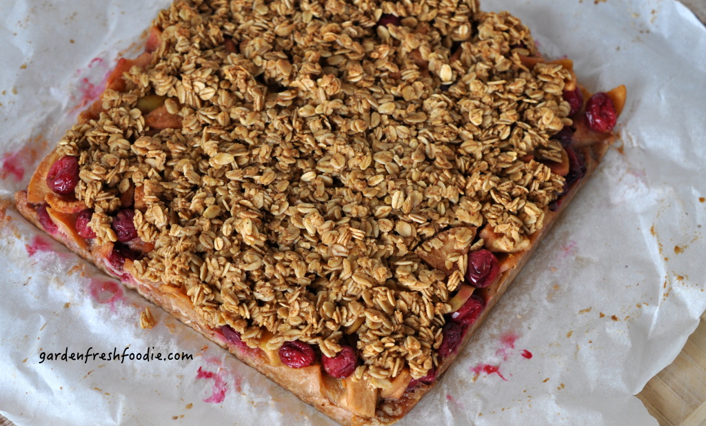 Baked Apple Cranberry Bars