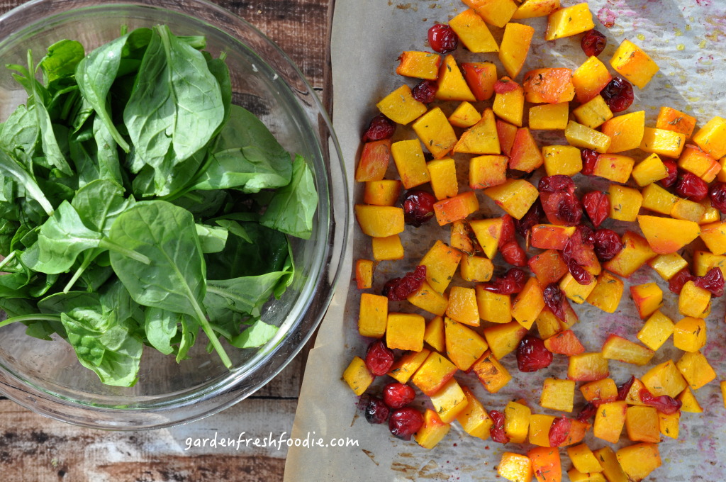 Butternut Squash, Cranberries, and Spinach