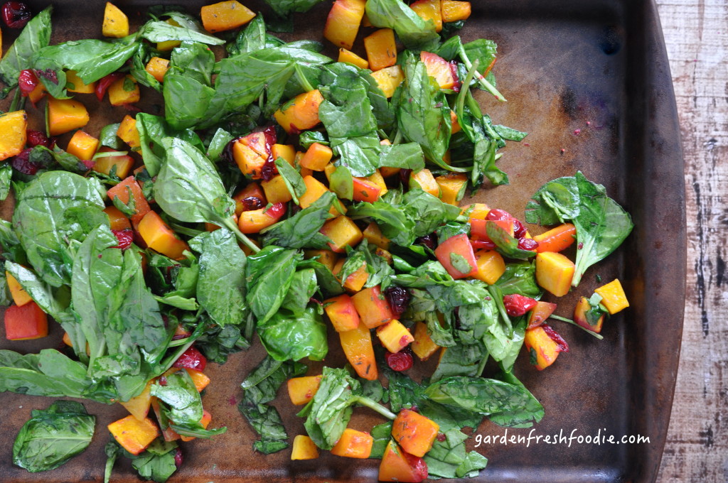 Roasted Butternut Squash, Cranberries, and Spinach