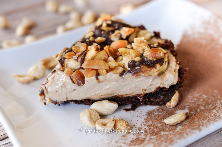 Slice Vegan Peanut Butter Pie