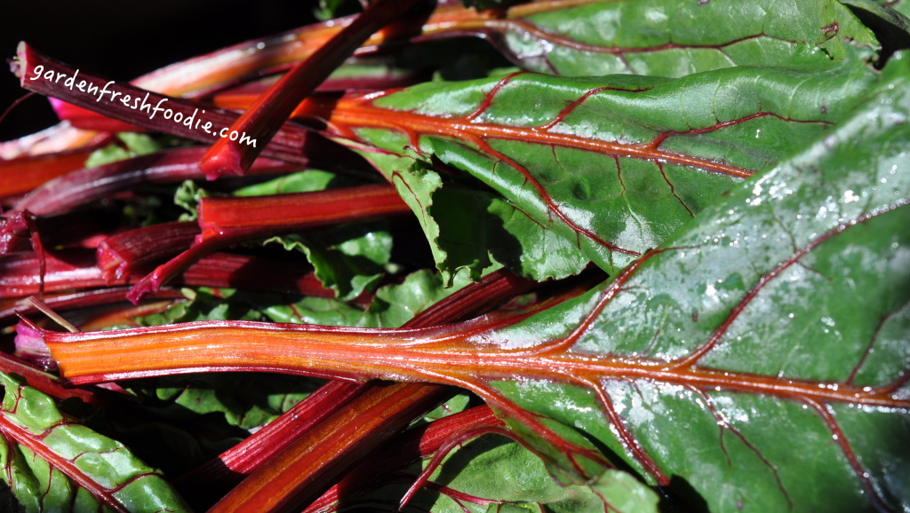 Beet Greens