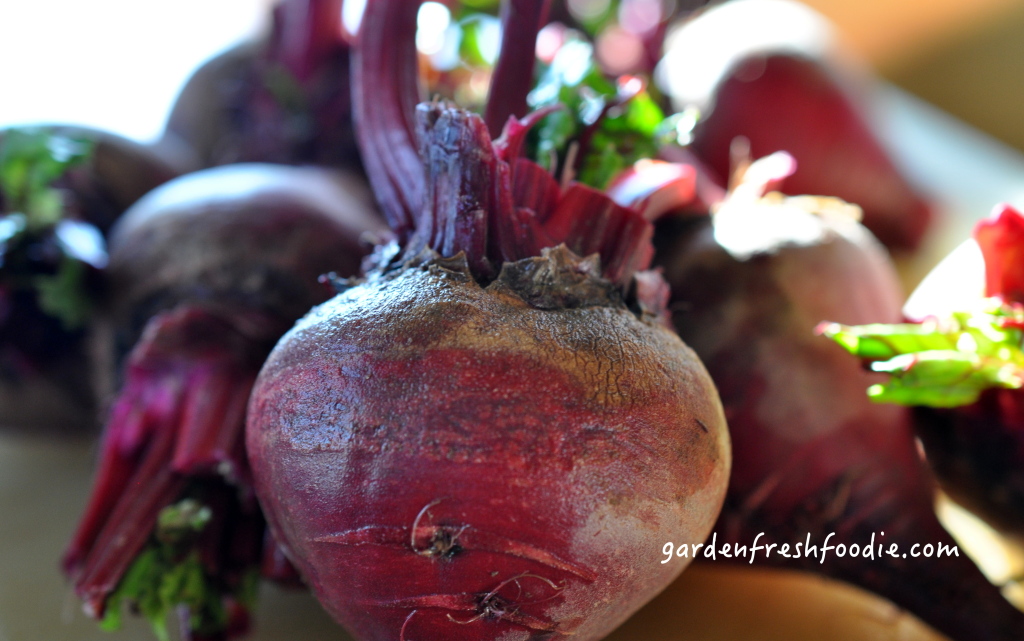 Garden Fresh Beets