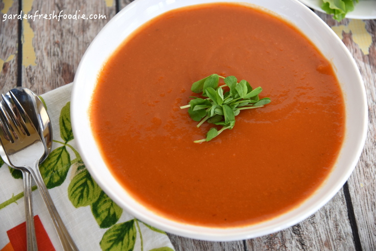 Bowl of Creamy Moroccan Carrot Soup