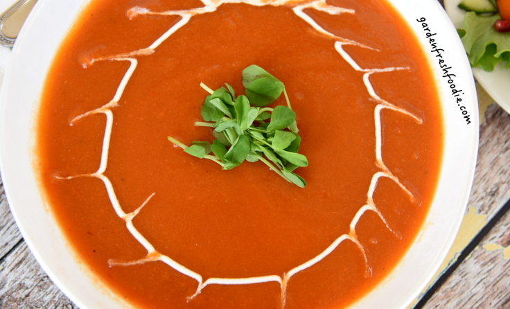 Moroccan Carrot Soup With Cashew Sour Cream