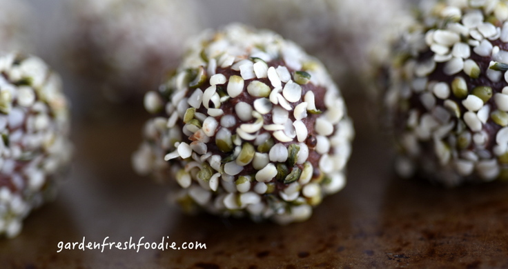Chocolate Truffle Rolled in Raw Hemp Seed