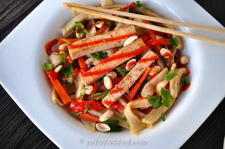 Bowl of Yaki UdonMade With Fresh Gluten Free Noodles