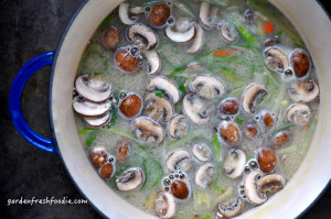 Gingered Miso Soup With Silken Tofu | Garden Fresh Foodie