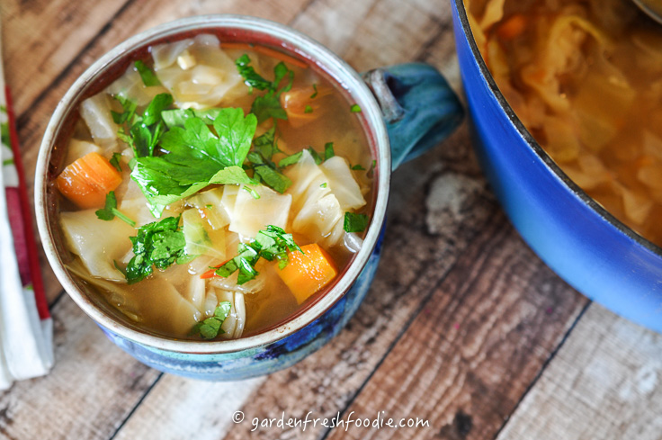 Bowl of Cabbage Soup