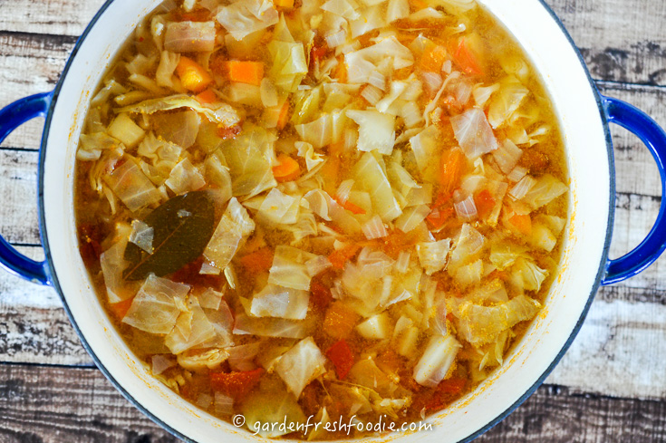 Making Cabbage Soup