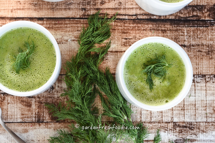 Fresh Dill Spring Pea Soup