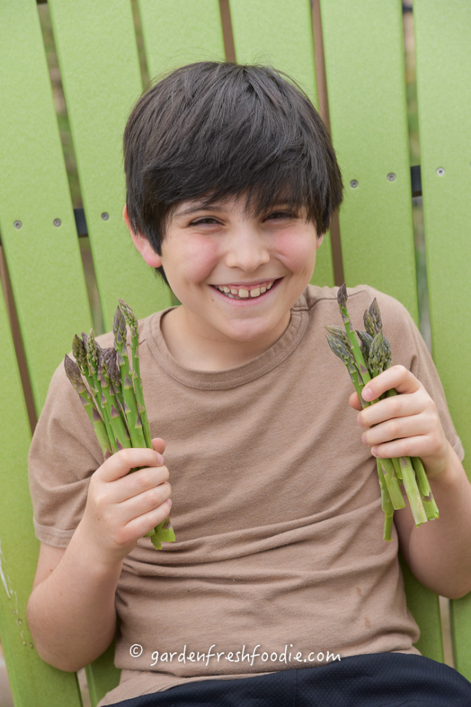 Picking Asparagus