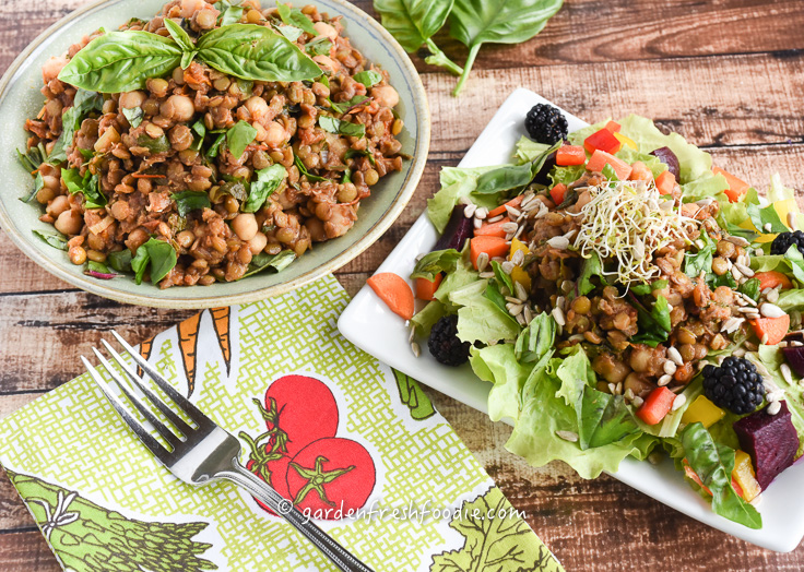 Bowl of Sun-dried Tomato Lentils Served A Top Fresh Lettuce