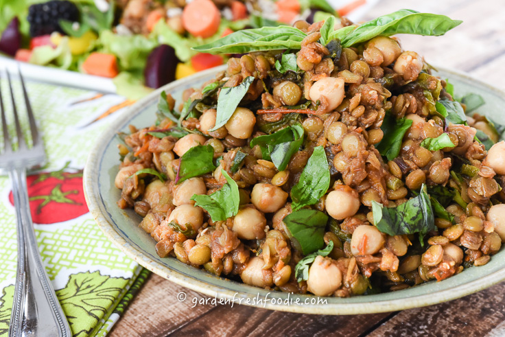 Close Up Sun-dried Tomato & Basil Lentils