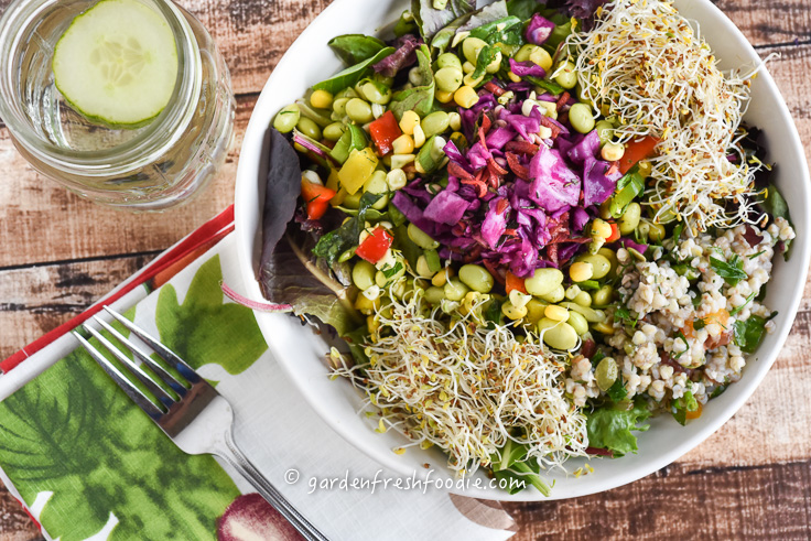 Edamame Salad Bowl With Sprouts, Slaw, and Tabbouleh