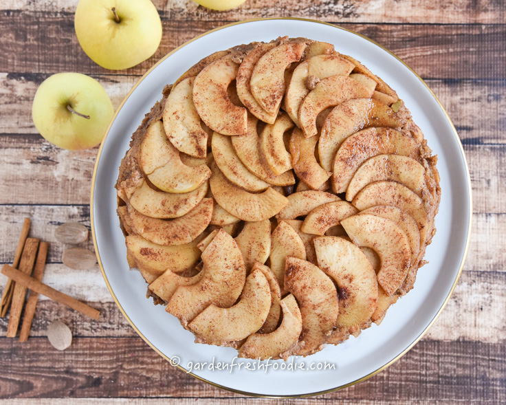 Plant-Based Apple Spice Cake