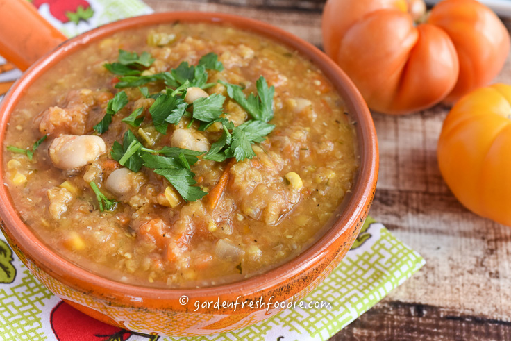 Bowl of Italian Curried Red Lentil Soup