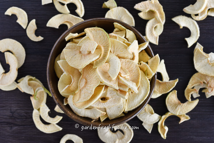 Bowl of Preservative Free Dehydrated Apples