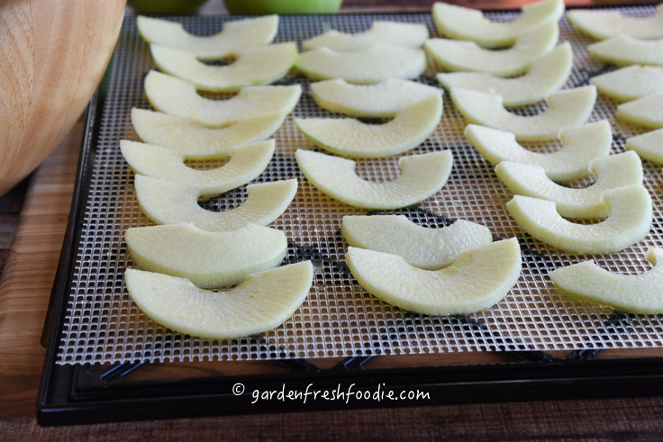 Dehydrating Apples Without Preservatives