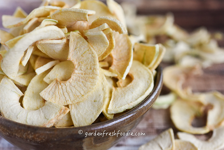 Preservative Free Dehydrated Apples