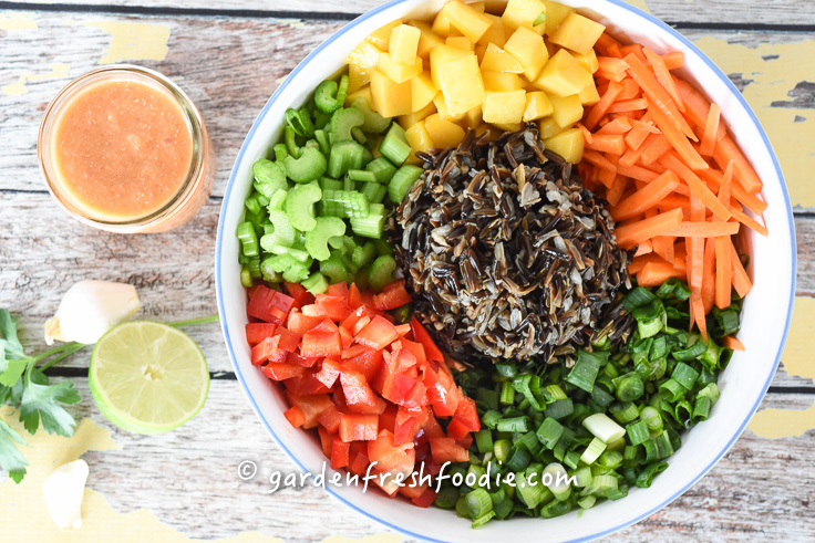 Ingredients For Rainbow Rice Salad