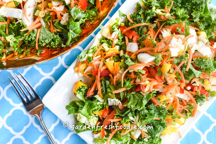 Overhead Plate of Rainbow Kale Salad