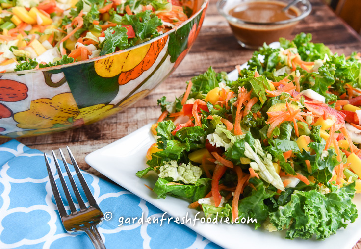 Plate of Rainbow Kale Salad