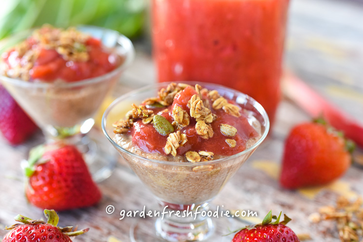 Serving Strawberry Rhubarb Compote With Chia Seed Pudding and Tahini Ginger Granola