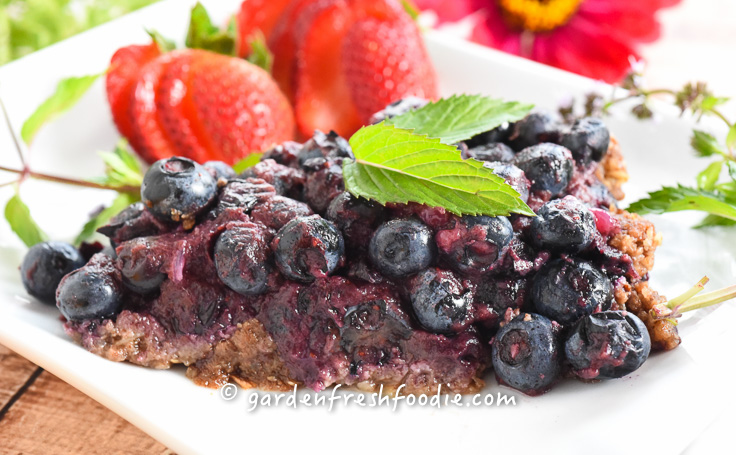 Slice of Blueberry Tart