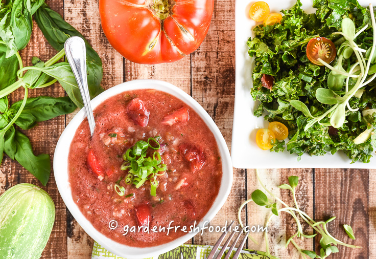 Bowl of Oil-Free Gazpacho and Massaged Kale Salad