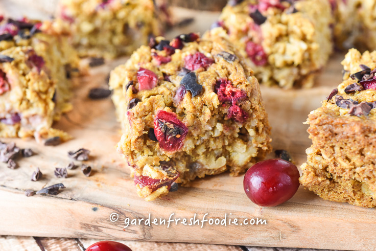 Pumpkin Oatmeal Cranberry Bars With Cacao