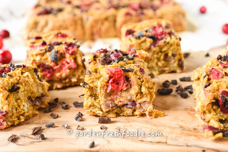 Vegan Pumpkin Oatmeal Cranberry Breakfast Bars