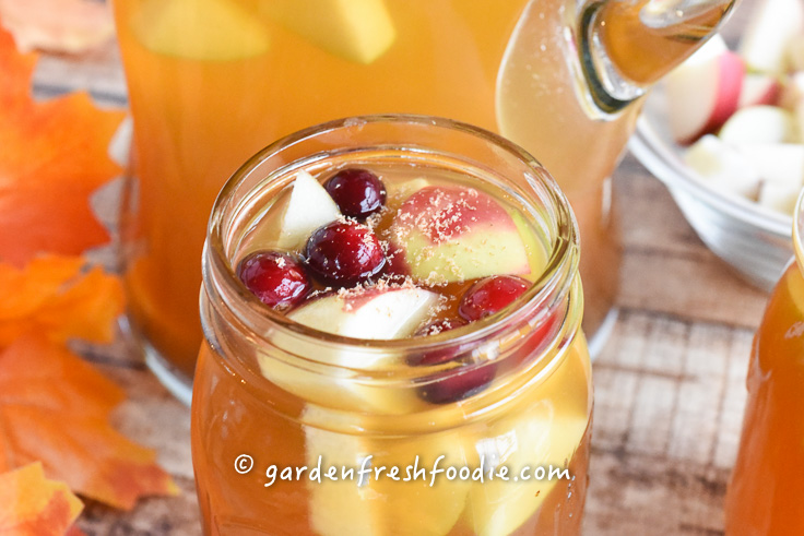 Glass of Apple Cider Sangria With Cranberries, Apples, &Pears