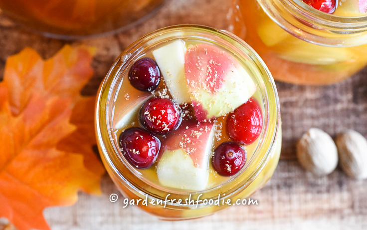 Glass of Apple Cider Sangria