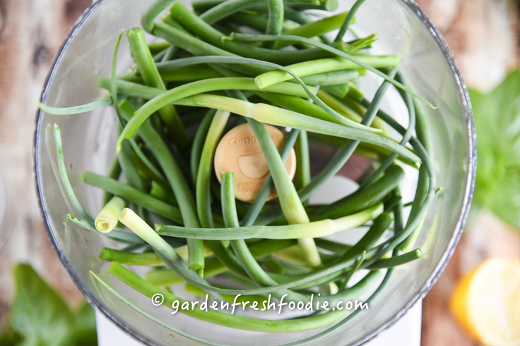 Procesing Garlic Scapes