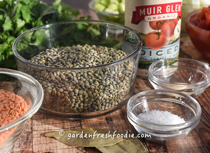 Lentil Sloppy Joe's Prep