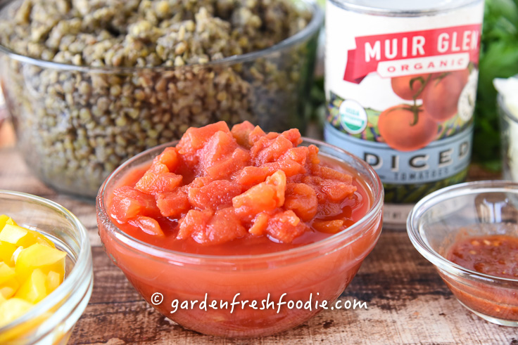 Muir Tomatoes For Lentil Sloppy Joe's