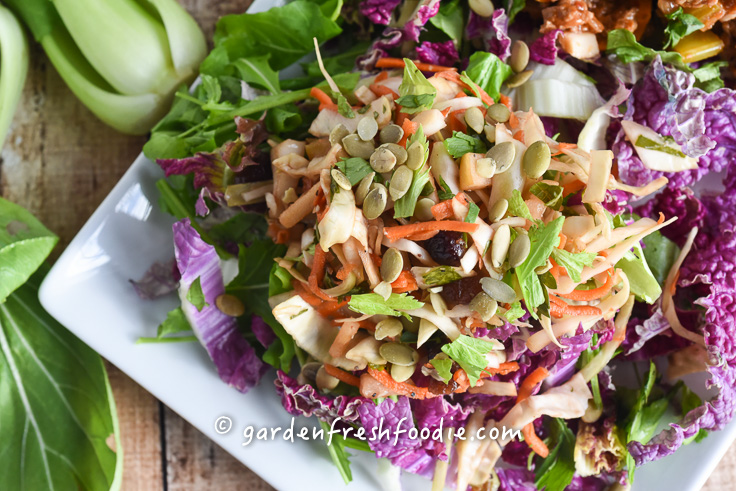 OIl Free Apple Slaw