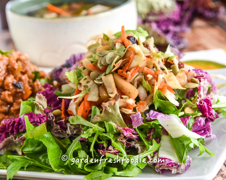 Oil Free Apple Slaw