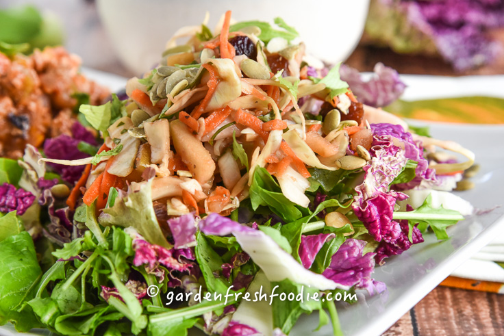 Oil Free Apple Slaw